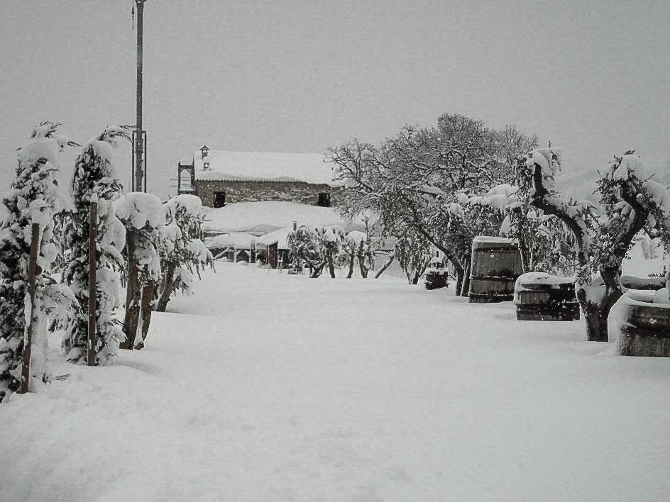 Agriturismo Ca' Maggio Sasso Feltrio Rum bild